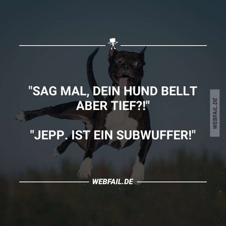 hund.jpg