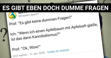 frage.jpg