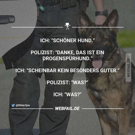 hund.jpg