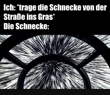 schnecke.jpg