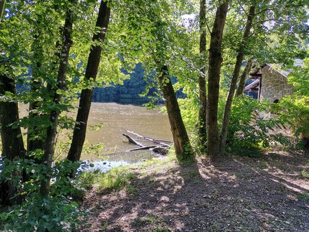 2020-07-23_Morgendlicher-Spaziergang-am-Burbacher-Waldweiher_08.jpg