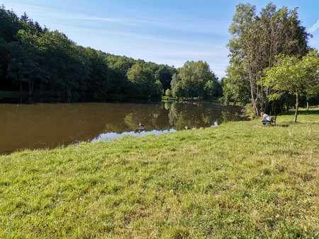 2020-07-23_Morgendlicher-Spaziergang-am-Burbacher-Waldweiher_17.jpg