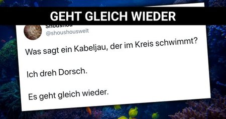 dorsch.jpg