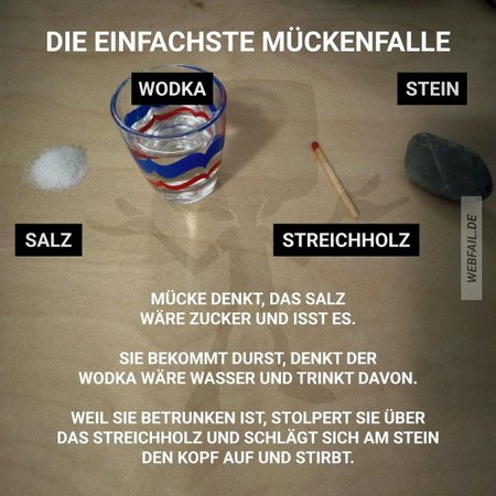 mücke.jpg