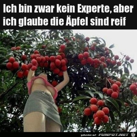 äpfel.jpg