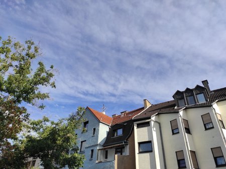 2020-08-28_Terrassenpflanzen-und-Baeume-davor_02.jpg