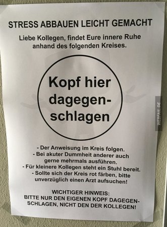 kopf.jpg