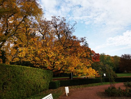 2020-10-26_Spaziergang-im-Deutsch-Franzoesischen-Garten_03.jpg