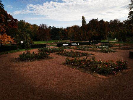 2020-10-26_Spaziergang-im-Deutsch-Franzoesischen-Garten_04.jpg