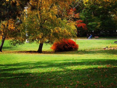 2020-10-26_Spaziergang-im-Deutsch-Franzoesischen-Garten_25.jpg