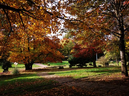 2020-10-26_Spaziergang-im-Deutsch-Franzoesischen-Garten_27.jpg