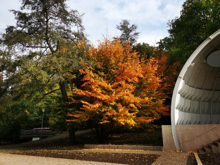 2020-10-26_Spaziergang-im-Deutsch-Franzoesischen-Garten_33.jpg