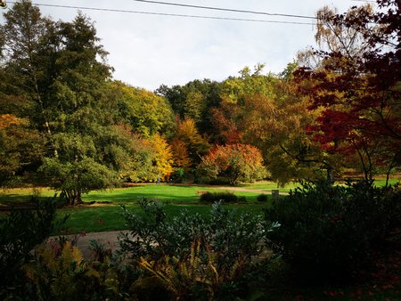 2020-10-26_Spaziergang-im-Deutsch-Franzoesischen-Garten_41.jpg