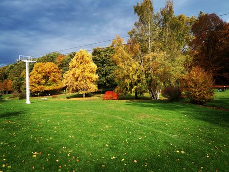 2020-10-26_Spaziergang-im-Deutsch-Franzoesischen-Garten_50.jpg