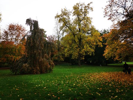 2020-10-26_Spaziergang-im-Deutsch-Franzoesischen-Garten_72.jpg