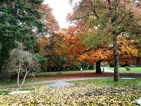 2020-10-26_Spaziergang-im-Deutsch-Franzoesischen-Garten_74.jpg