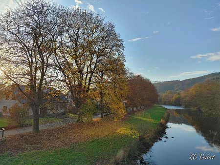 20201110_153713_HDR.jpg