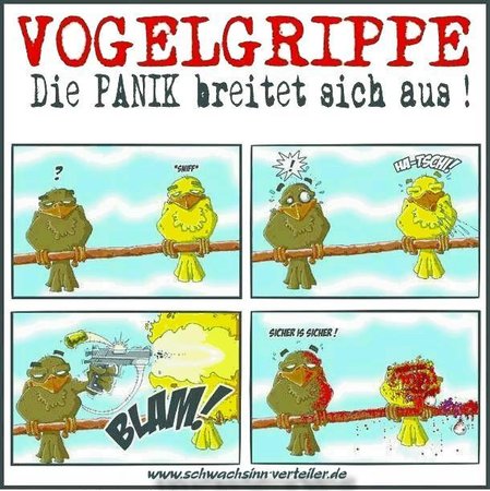 Vogelgrippe.JPG