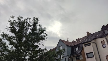 2021-07-04_Regen-am-Sonntag_Poco-F3-GCAM_03.jpg