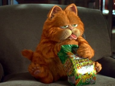 Garfield-DI-380.jpg