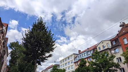 21-07-15_Nach-Tagen-des-Regens-spitzt-etwas-blau-durch-die-Wolken_03.jpg