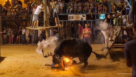 2014-08-09_Jalon_toros_1091.jpg