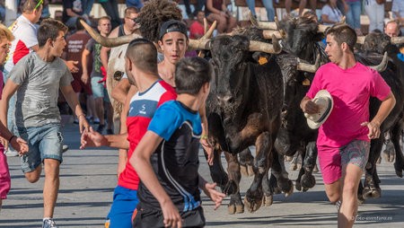 2016-06-19_Javea_toros_0282.jpg