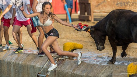 2016-08-31_Javea_toros_0099-2.jpg