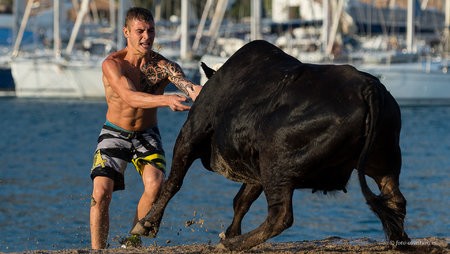 2014-09-03_Javea_toros_0112.jpg