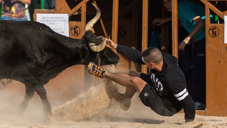 2014-01-14_Javea_toros_0446.jpg