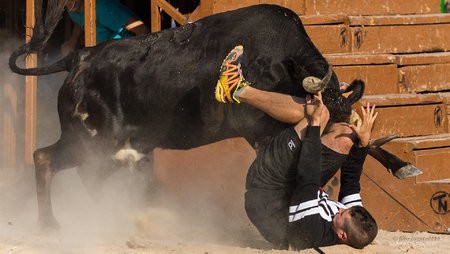 2014-01-14_Javea_toros_0451.jpg