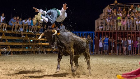 2014-08-29_Javea_toros_0059.jpg