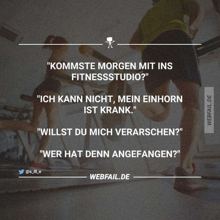 fitnkatz.jpg