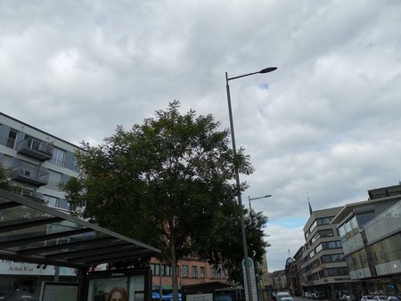 2021-10_Dunke-Wolken-ohne-Regen-in-der-Saarbruecker-Innenstadt_06.jpg