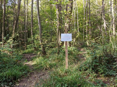 2021-10-15_Wandern-im-Urwald-vor-der-Stadt_01.jpg