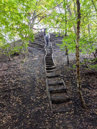 2021-10-15_Wandern-im-Urwald-vor-der-Stadt_02.jpg