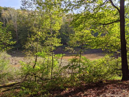 2021-10-15_Wandern-im-Urwald-vor-der-Stadt_04.jpg