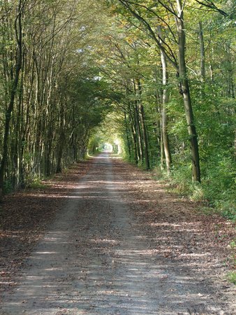 Herbst.JPG