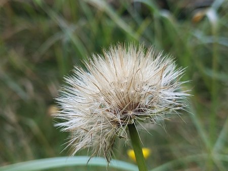 Herbst 009.jpg