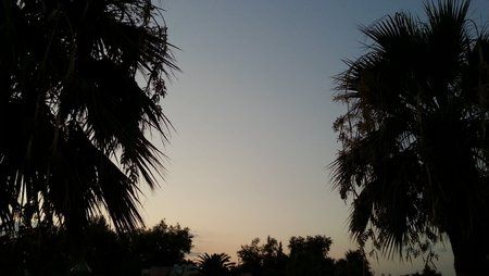 20120809_190730.jpg