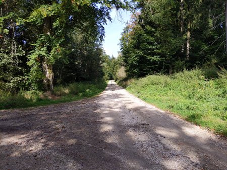 Der Weg 0002.jpg