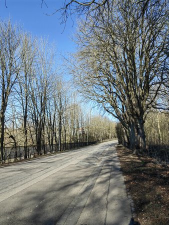 2022-02-27_Spaziergang-zum-und-um-den-Burbacher-Waldweiher__01.jpg