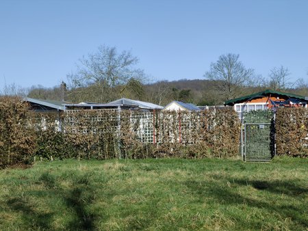 2022-02-27_Spaziergang-zum-und-um-den-Burbacher-Waldweiher__03.jpg