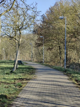 2022-02-27_Spaziergang-zum-und-um-den-Burbacher-Waldweiher__06.jpg