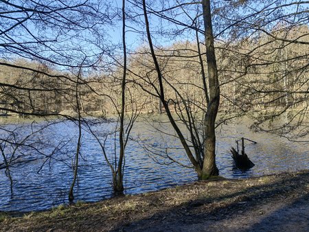 2022-02-27_Spaziergang-zum-und-um-den-Burbacher-Waldweiher__25.jpg