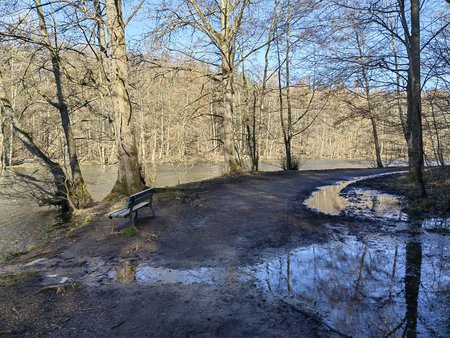 2022-02-27_Spaziergang-zum-und-um-den-Burbacher-Waldweiher__26.jpg