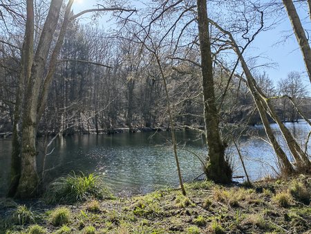 2022-02-27_Spaziergang-zum-und-um-den-Burbacher-Waldweiher__33.jpg