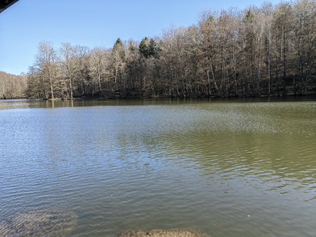 2022-02-27_Spaziergang-zum-und-um-den-Burbacher-Waldweiher__38.jpg