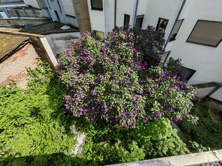 2022-05-08_Ein-Nachmittag-auf-der-Terrasse_05.jpg