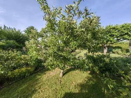 2022-05-20_Ein-Morgen-in-Nachbars-Garten_13.jpg